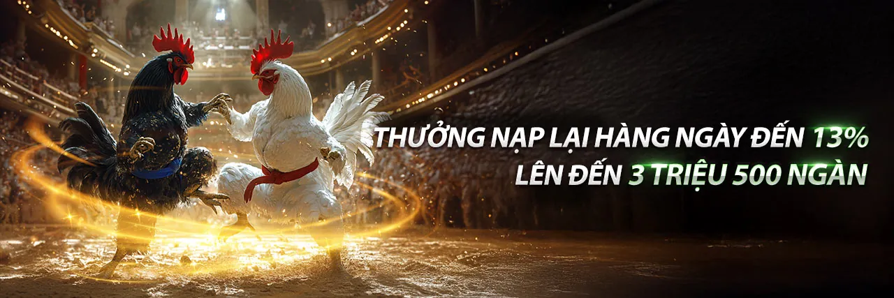 Ứng dụng AC888 Đá Gà trên điện thoại